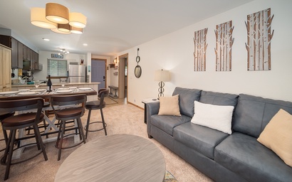 Beaver Village Unit #1714 4