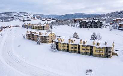 Summit Unit 4106