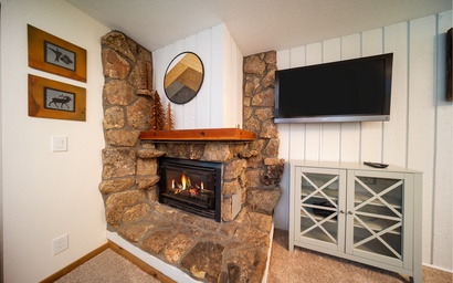 Beaver Village Unit #1714 3