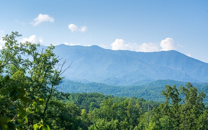 Another Day in Bearadise 6