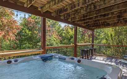 The Smoky Bear 5