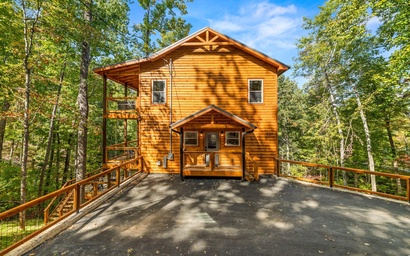 Treetop Tranquility 10