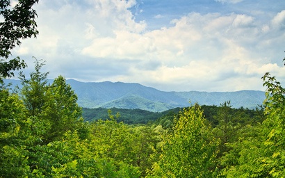 Cozy Bear Hideaway 4