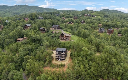 Nobby Duck Hollow 10