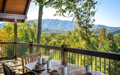 Another Day in Bearadise 5