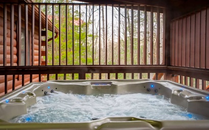 Country Cabin in the City