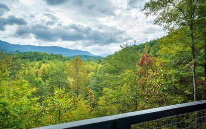 Country Bear Hideaway 3