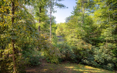 Lakeside Rendezvous 5