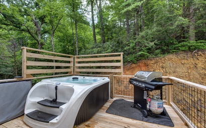 Cardinal Pool Cabin 5