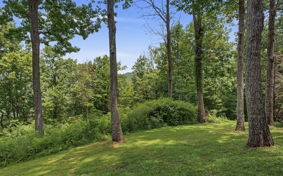 Firefly Ridge 8