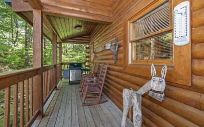 Giddy Up Cabin 2