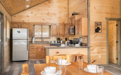 Black Bear Lookout 3