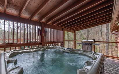 Country Cabin in the City 9