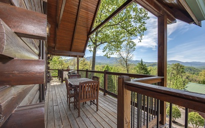 Another Day in Bearadise