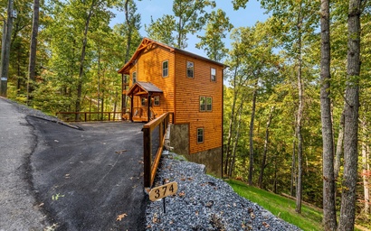 Treetop Tranquility 5