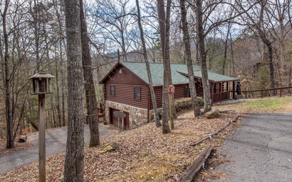Country Cabin in the City 3