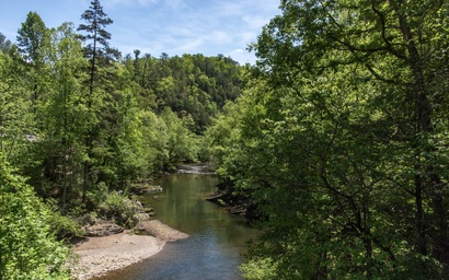 River Vibes 8