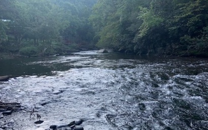 River Vibes 7