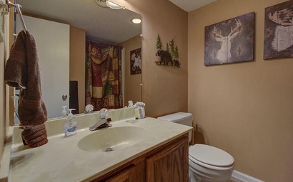 Mountain View Memories Unit #2102 4