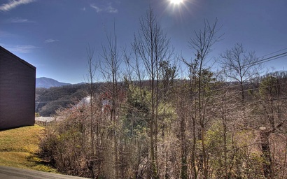 Mountain View Memories Unit #2102 8