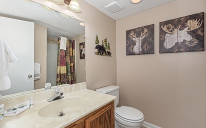 Mountain View Memories Unit #2102 10