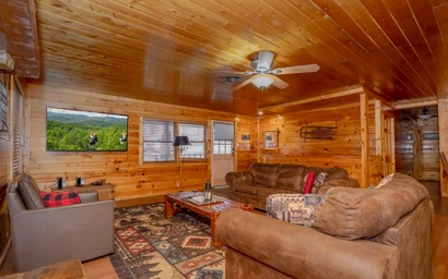 Country Cabin in the City 5