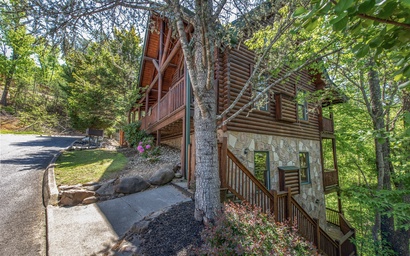 Crazy Horse 7