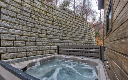 Waterfalls and Wildflowers 9