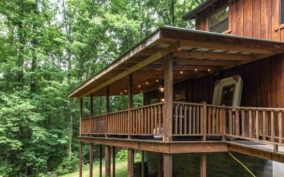 Friendly Bear Cabin 1 4