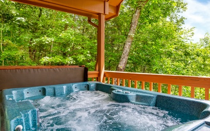 Cozy Bear Hideaway 2