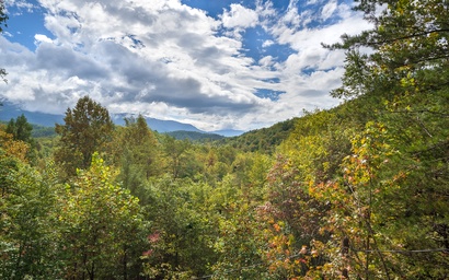 Eagle's Nest Hideaway 6