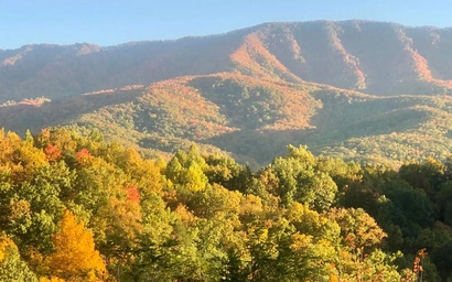 Vixen Overlook Lodge 2