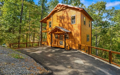 Treetop Tranquility 8