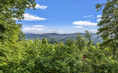 Dancing Bear Lodge 10