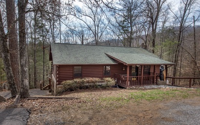 Country Cabin in the City 2