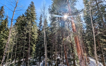 Trappers Crossing 8769 24