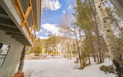 Flying Dutchman 1162 3