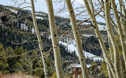 Ski Tip Ranch 8739 8