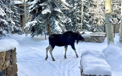 Chateaux DuMont 2703 29