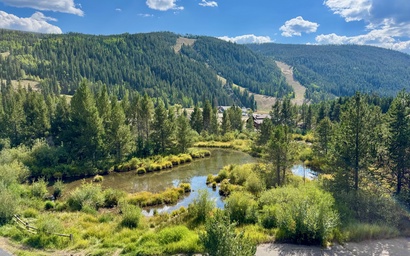 Cinnamon Ridge D323 27