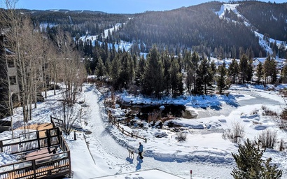 Cinnamon Ridge D323 25