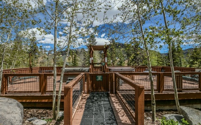 Cabin in the Pines 4 39