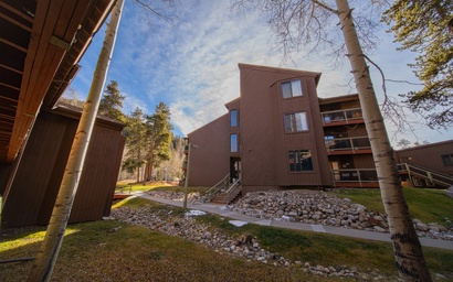 Wild Irishman 1032 3