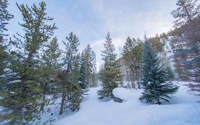 Soda Spring II 1935 4