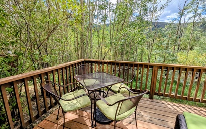 Ski Tip Ranch 8747 41