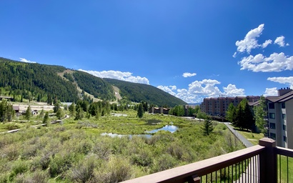 Cinnamon Ridge B304 25