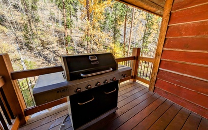 Keystone Prospectors Home 669 11