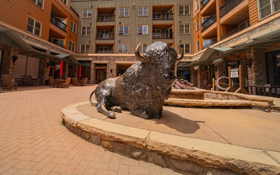 Buffalo Lodge 8419 32