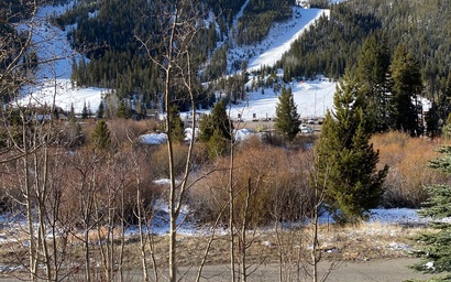 Tenderfoot Lodge 2604 2