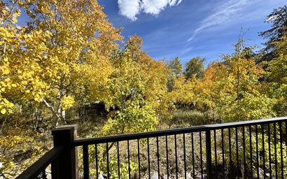 Keystone Sanctuary 158 57